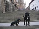 Bild 220